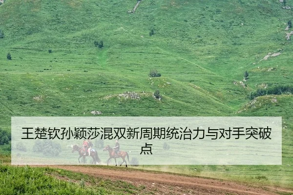 王楚钦孙颖莎混双新周期统治力与对手突破点
