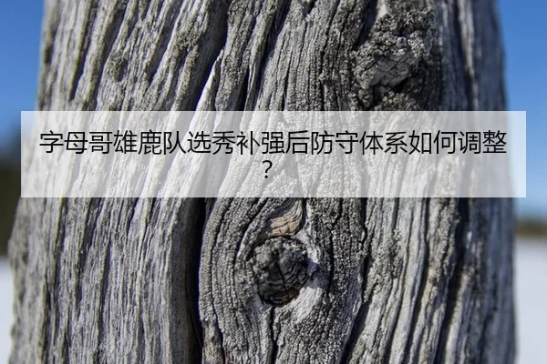 字母哥雄鹿队选秀补强后防守体系如何调整？