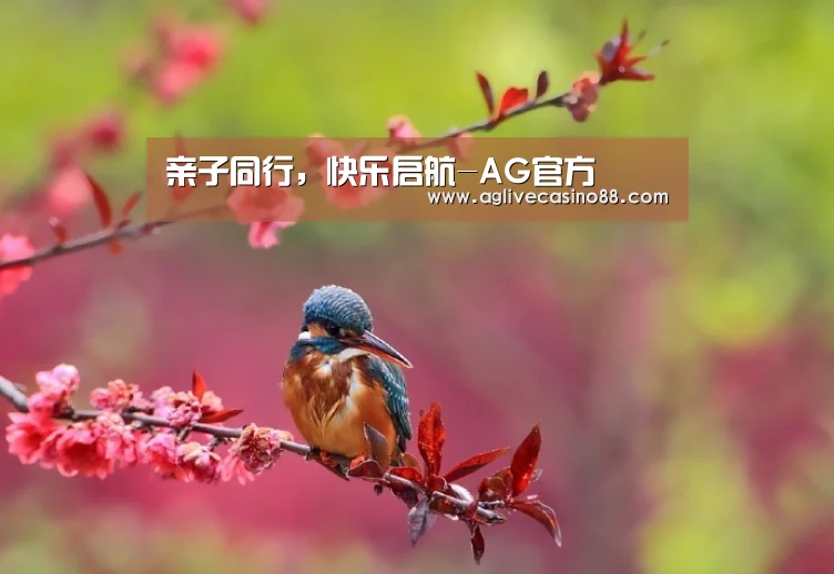AG直播